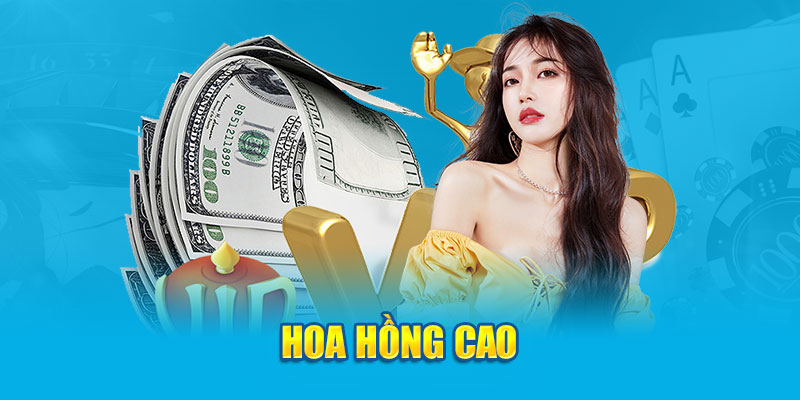 Ảnh Hoa hồng cao