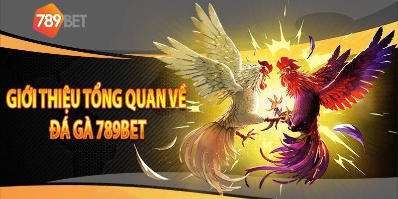 Sân chơi đá gà 789bet trực tuyến