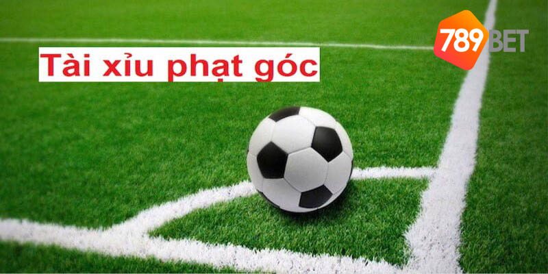 Cược góc tài xỉu là hình thức đầu tư phổ biến được nhiều người lựa chọn